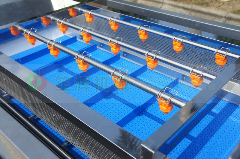 全網(wǎng)鏈輸送洗菜機