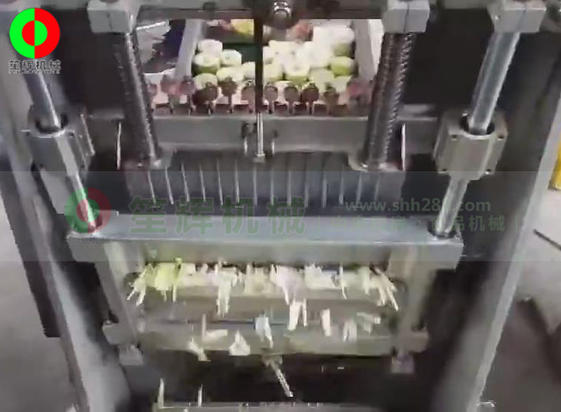 大型連續式切筍絲機