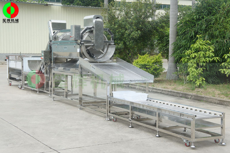 鯪魚加工生產線