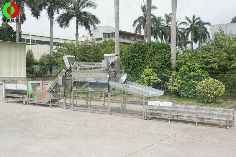 鯪魚加工生產線