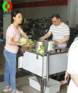 蔬果分瓣機現場測試,客戶滿意切割效果!