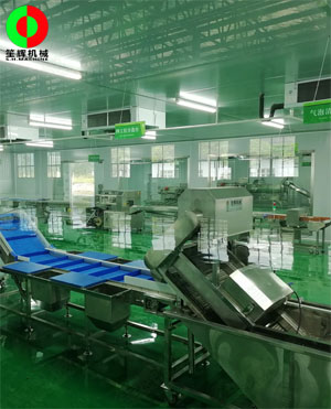 廣西蒙山標準化凈菜加工車間項目，毛菜加工車間順利完工！