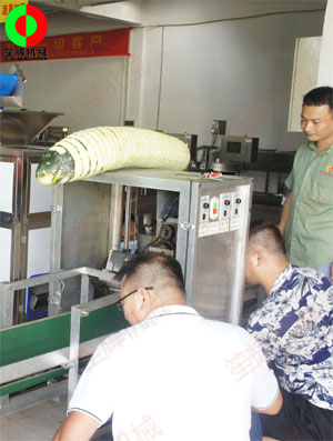 東莞客戶來廠現場測試臥式冬瓜削皮加工機械設備！