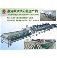 圣女果清洗風(fēng)干分級(jí)生產(chǎn)線(視頻) 圣女果清洗風(fēng)干分級(jí)生產(chǎn)線(視頻)