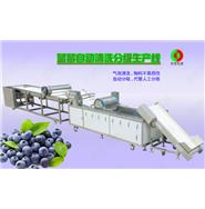 藍莓/蔬果全自動清洗分級生產線