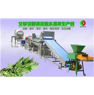 艾葉/艾草加工生產(chǎn)線(xiàn)(切割/清洗/脫水/攪拌/壓實(shí)發(fā)酵) 艾葉/艾草加工生產(chǎn)線(xiàn)(切割/清洗/脫水/攪拌/壓實(shí)發(fā)酵)