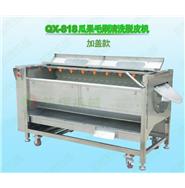 瓜果清洗機/瓜果脫皮機/瓜果毛刷清洗脫皮機QX-818新款(視頻)