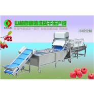 山楂清洗生產(chǎn)線(xiàn)/山楂清洗風(fēng)干生產(chǎn)線(xiàn) 山楂清洗生產(chǎn)線(xiàn)/山楂清洗風(fēng)干生產(chǎn)線(xiàn)