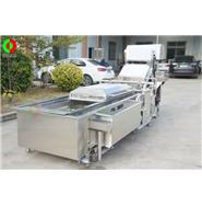 全網鏈氣泡洗菜機/氣泡洗菜機/ 網鏈輸送洗菜機 Q-42B